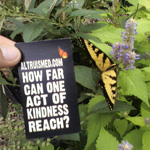 Niche Gardens Tiger Swallowtail